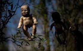 玩偶岛2,奇幻冒险再启，友谊与勇气的传承之旅