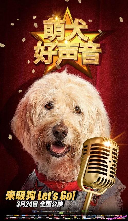 萌犬好声音4,犬界歌唱大赛,谁将脱颖而出?
